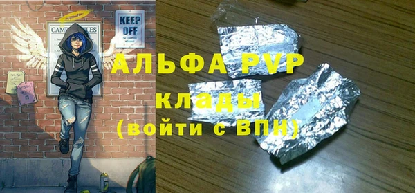 крисы Белокуриха