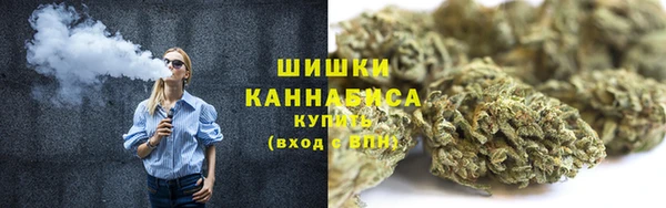 крисы Белокуриха